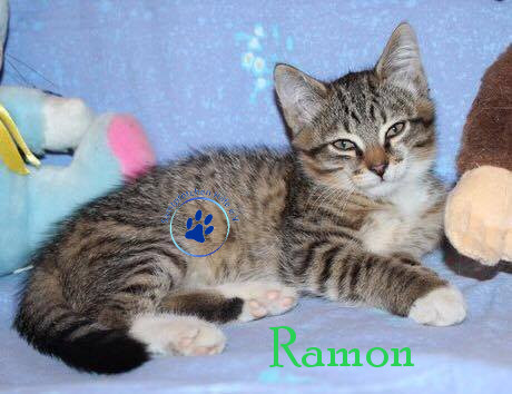 Ramon Ramon