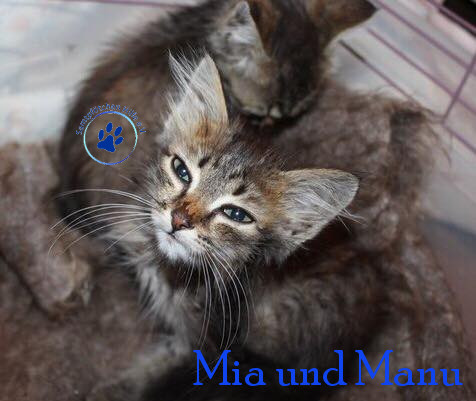 Mia