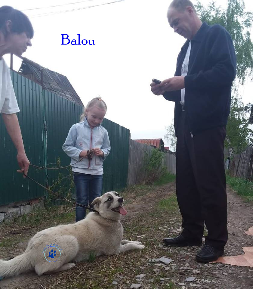Elena/Hunde/Balou/Balou24mN.jpg