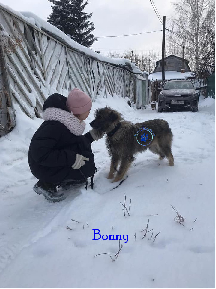 Elena/Hunde/Bonny/Bonny28mN.jpg