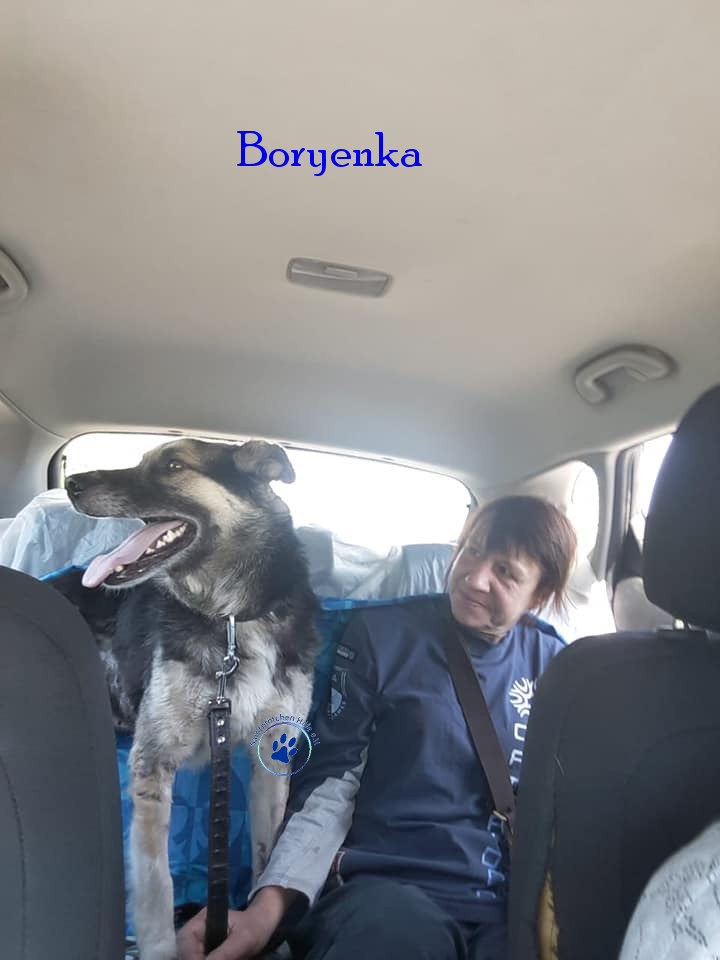 Elena/Hunde/Boryenka/Boryenka05mN.jpg