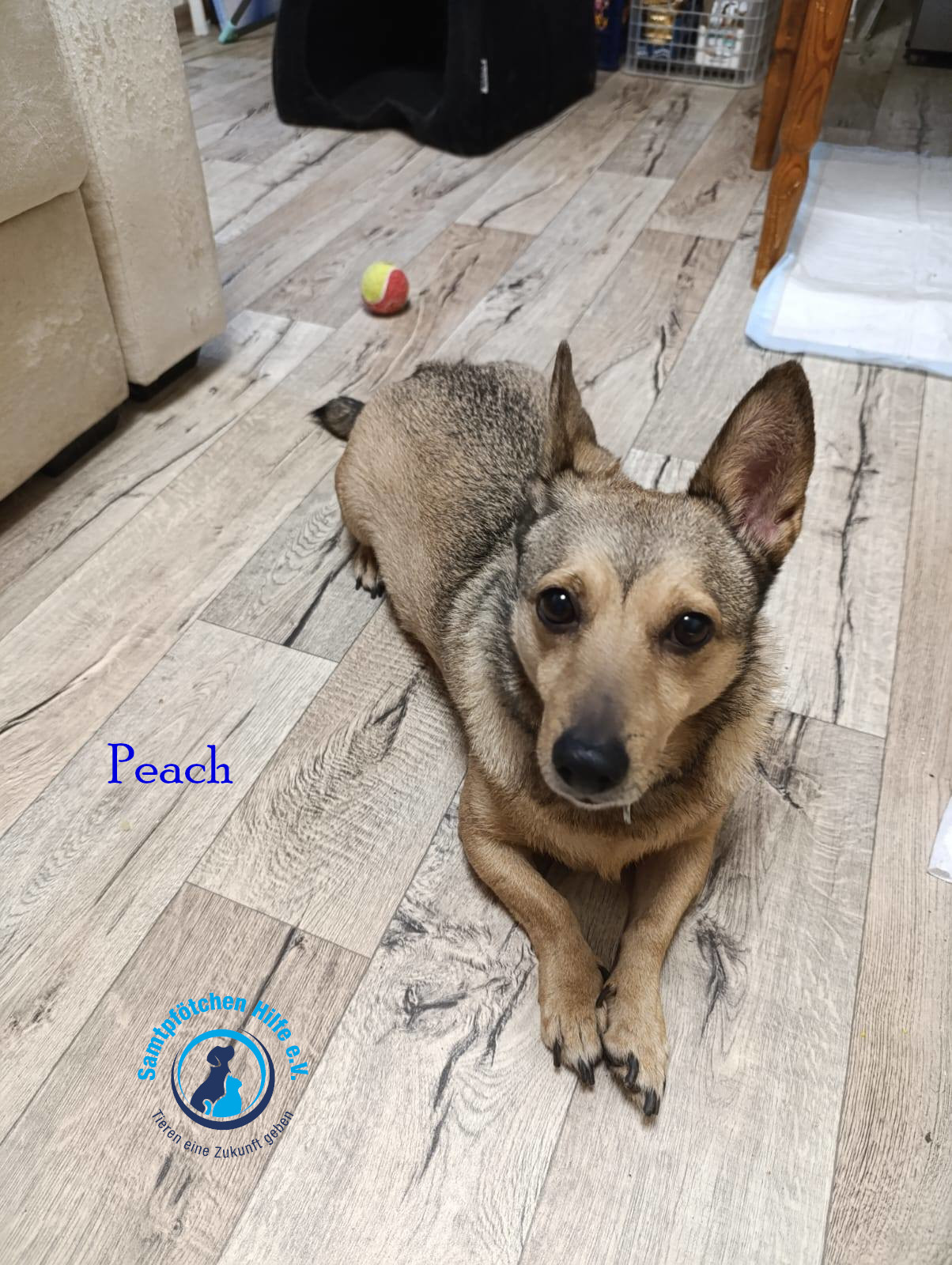 Peach 