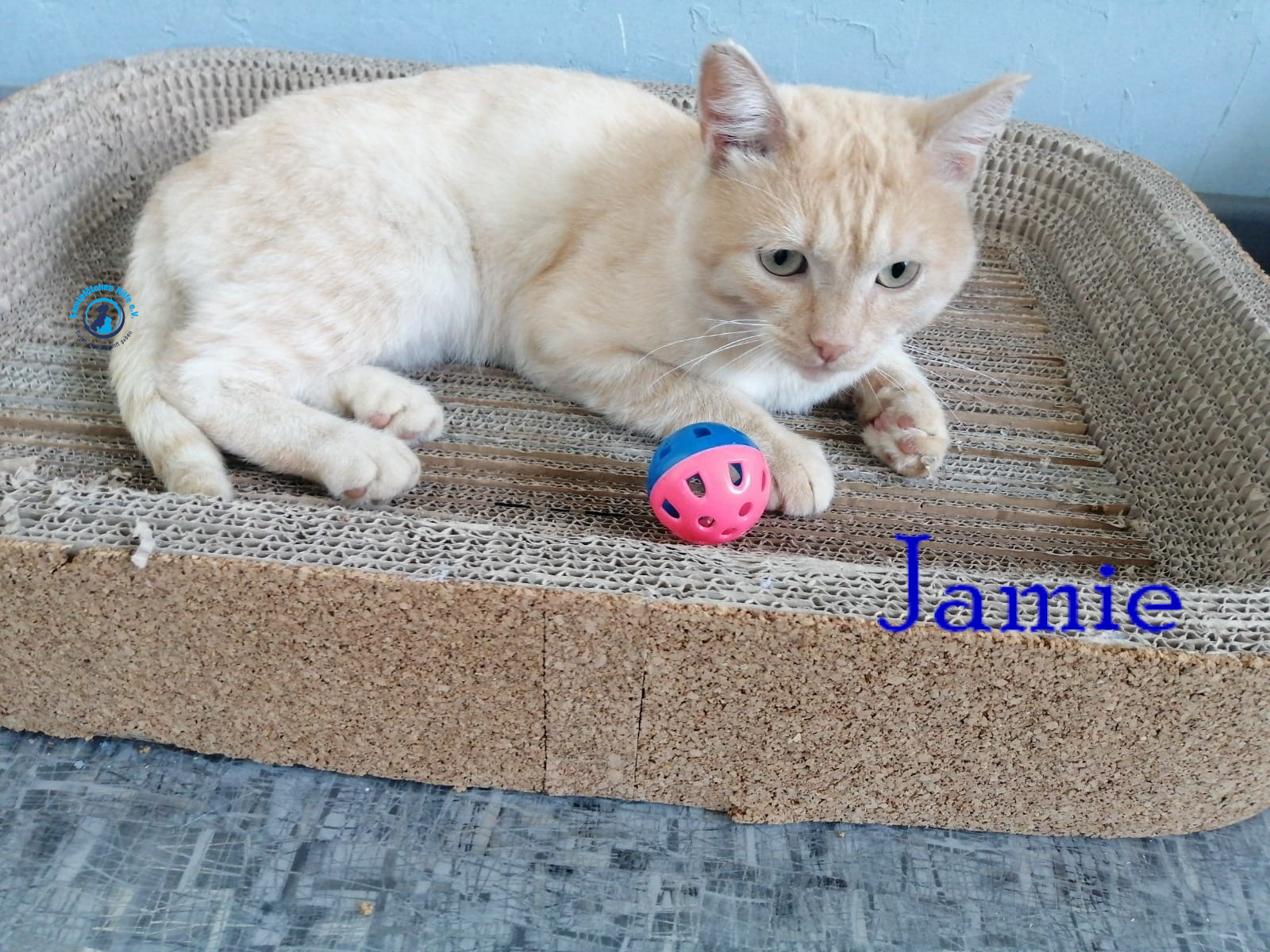 Jamie Jamie