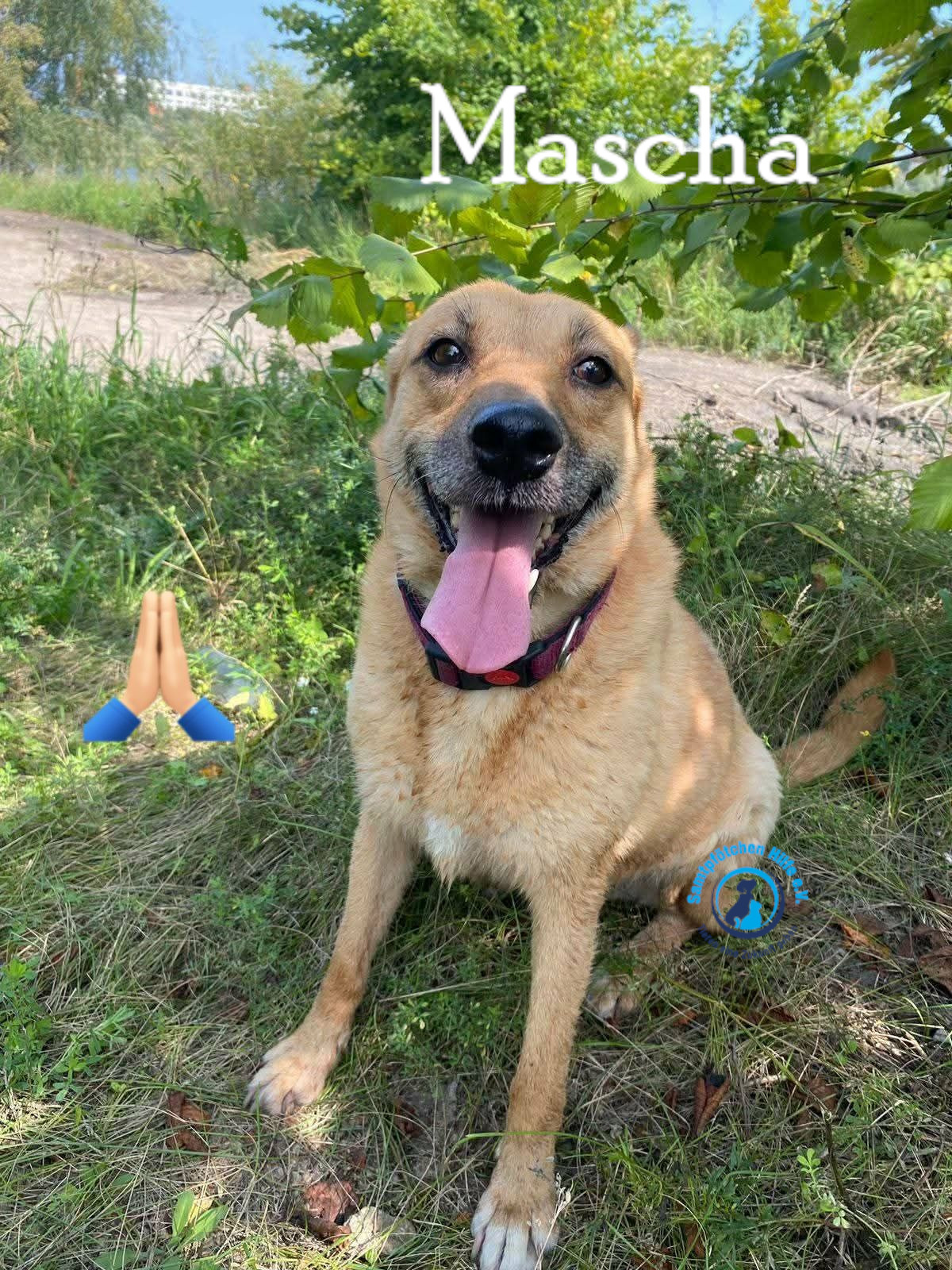 Mascha