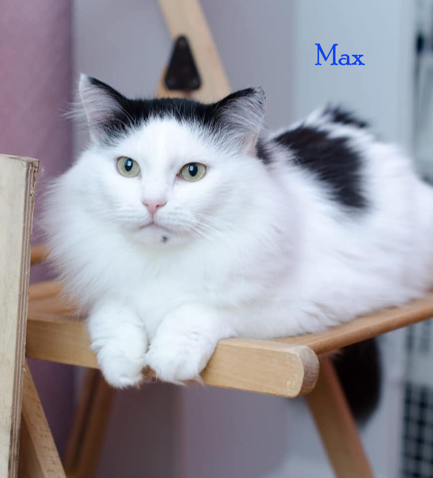 Max II