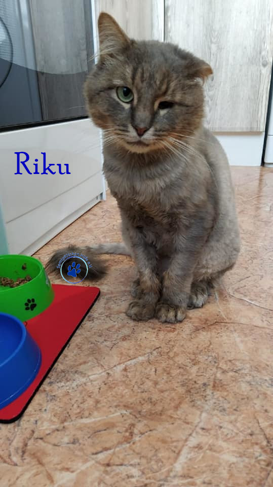 Riku Riku