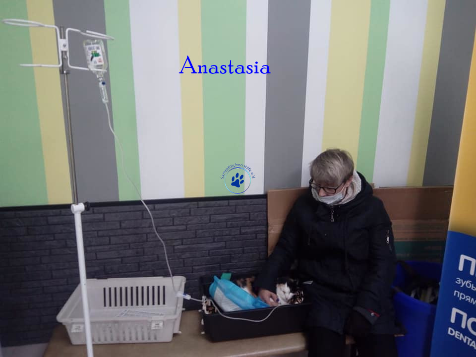 Irina/Katzen/Anastasia/Anastasia25mN.jpg
