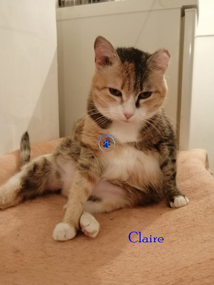 Claire Claire