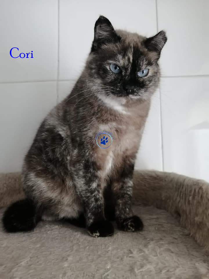 Cori Cori