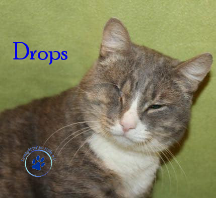 Drops