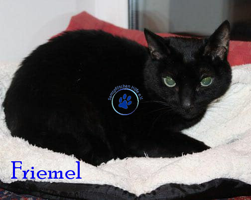 Friemel Friemel