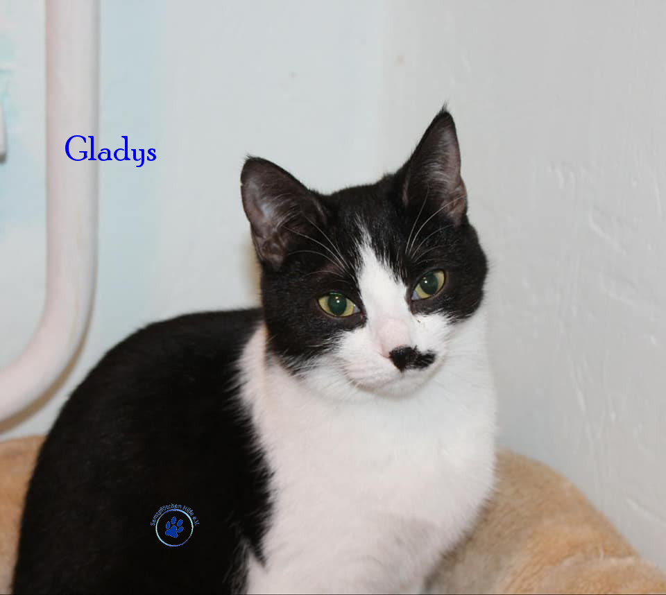 Gladys