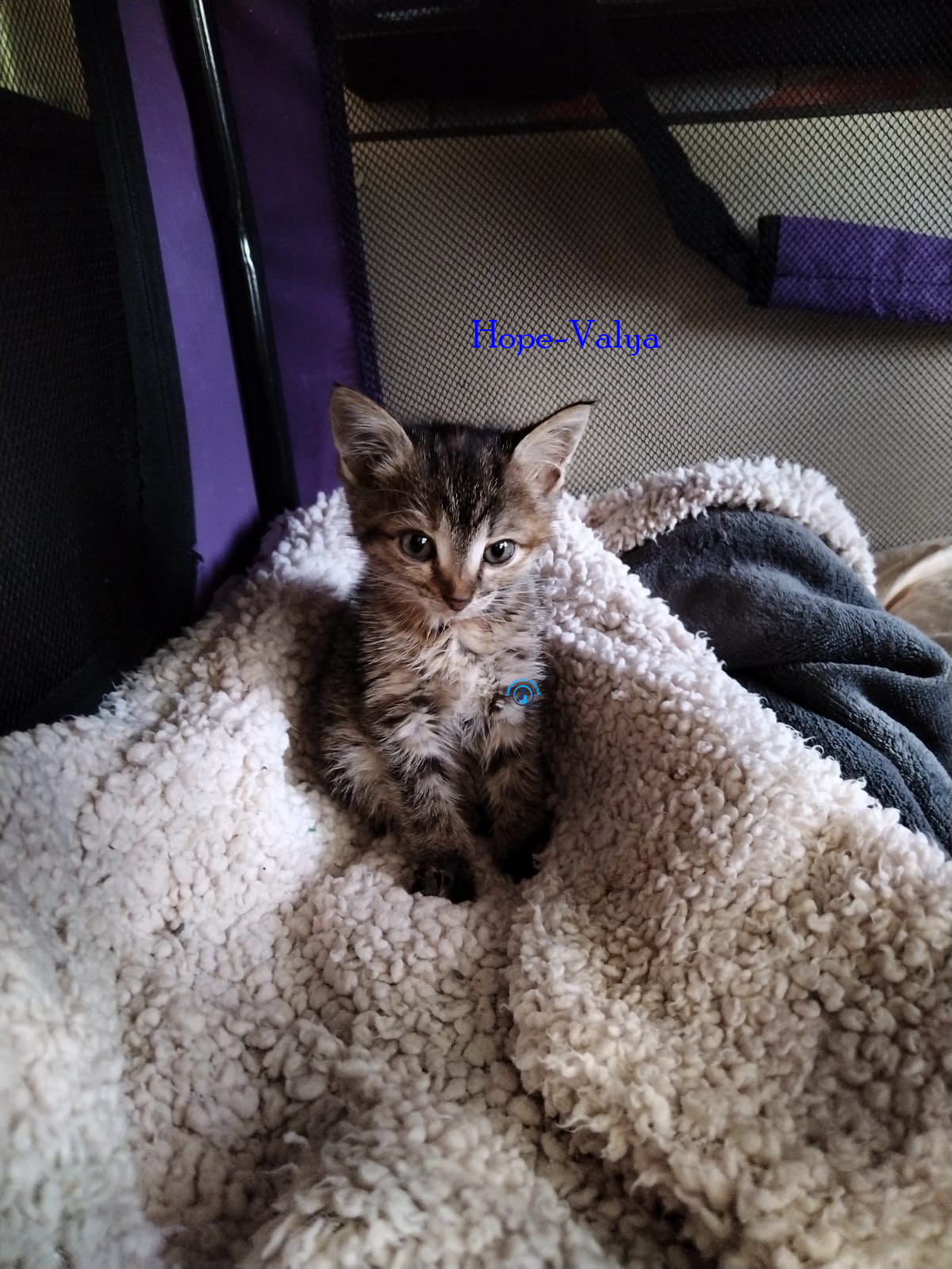 Hope-Valya Hope-Valya