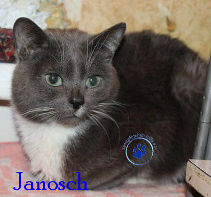 Janosch Janosch