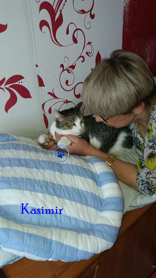 Irina/Katzen/Kasimir/Kasimir07mN.jpg