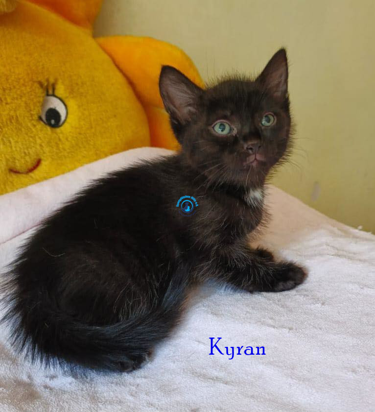 Kyran