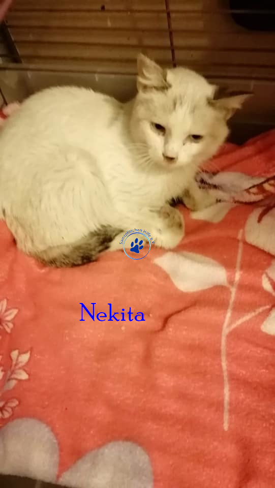 Nekita Nekita