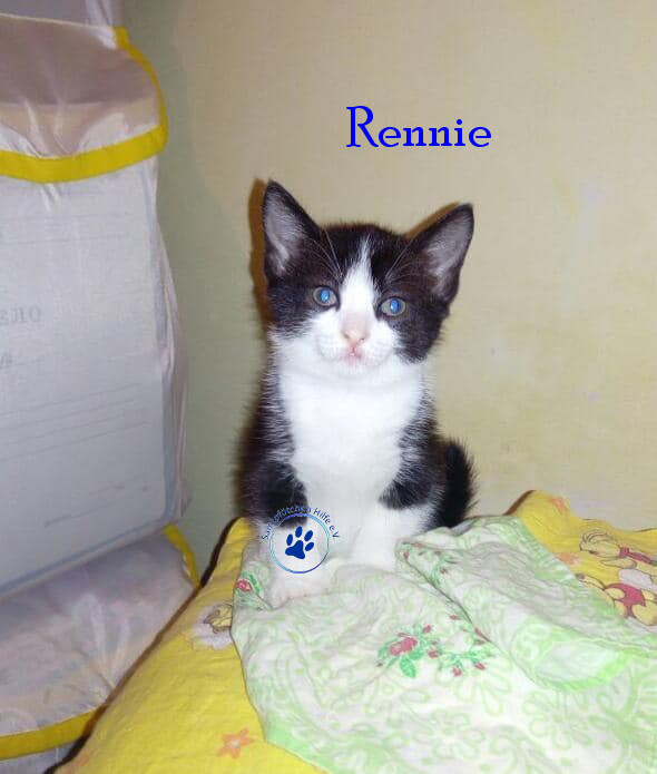 Irina/Katzen/Rennie/Rennie04mN.jpg