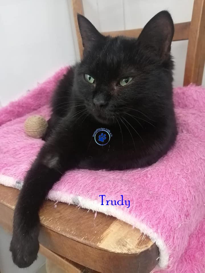 Trudy