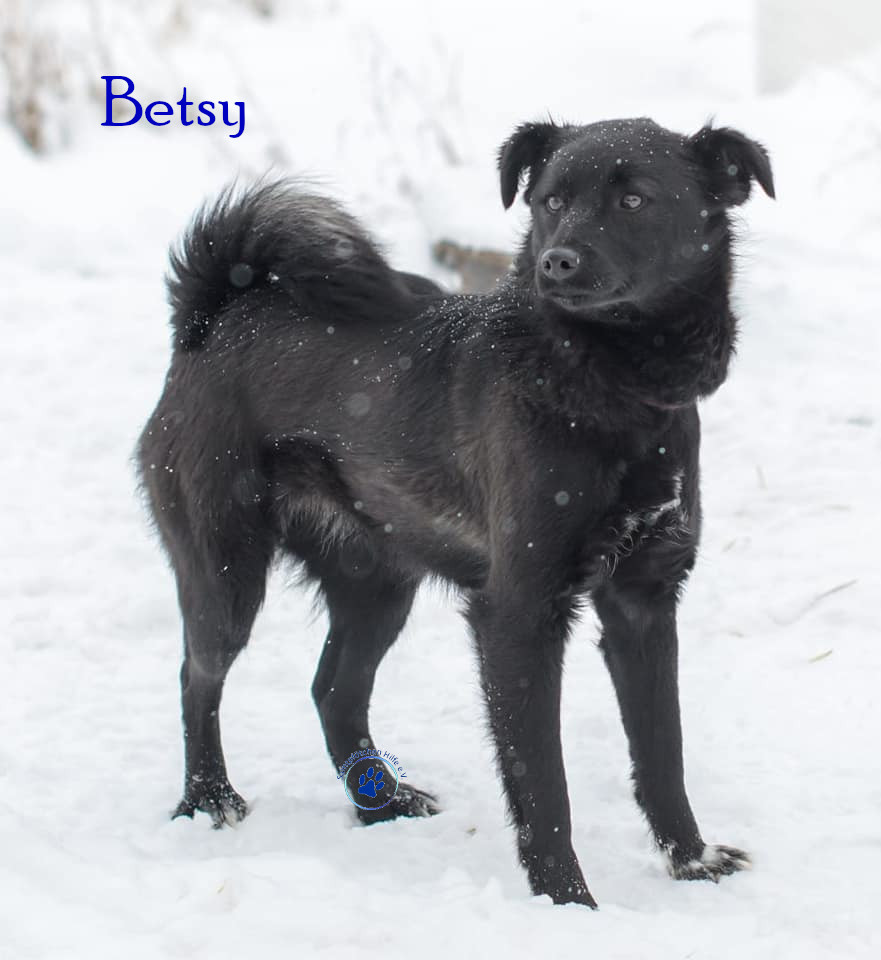 Betsy
