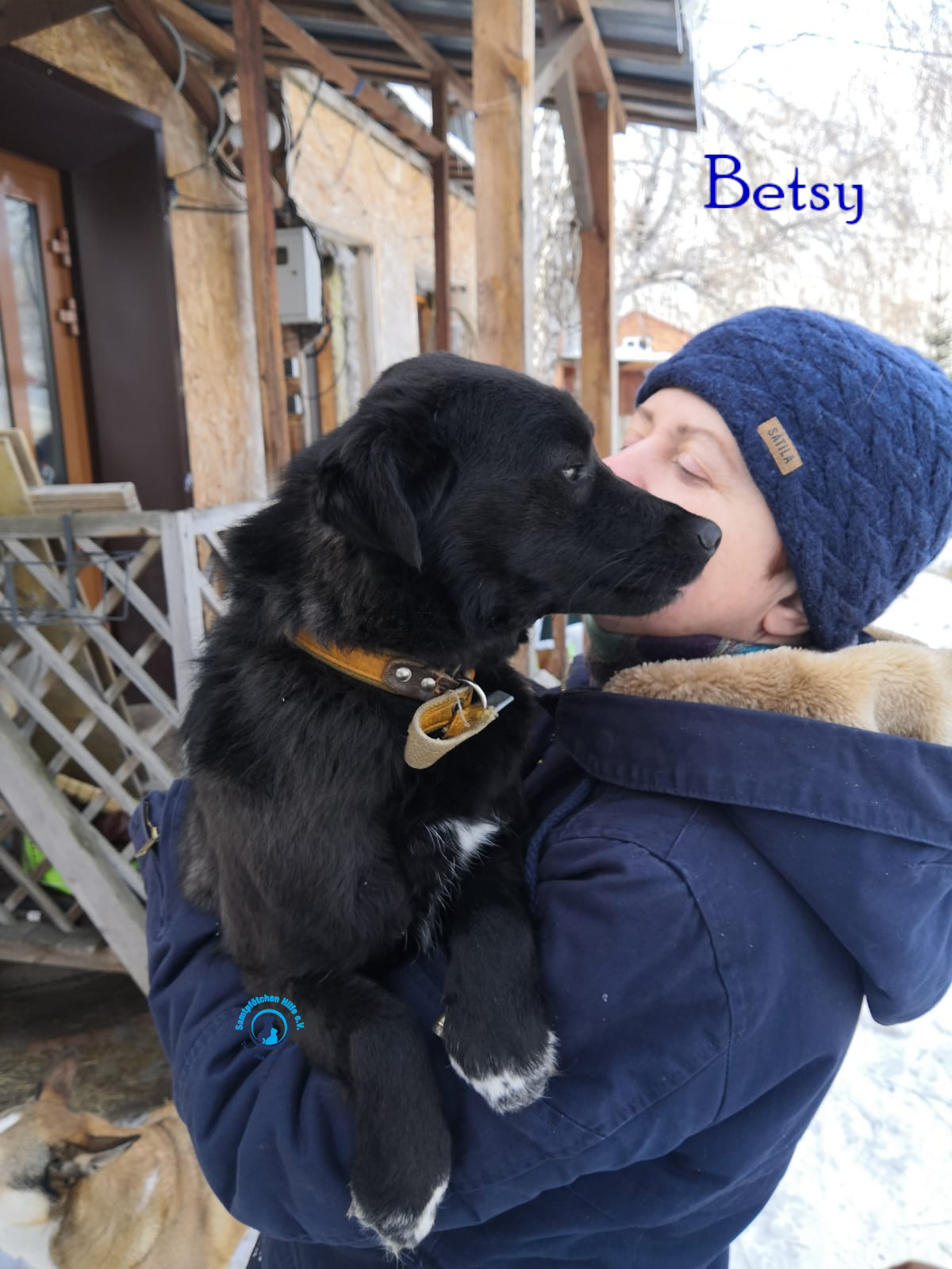 Lyudmila/Katzen/Betsy/Betsy12mN.jpg