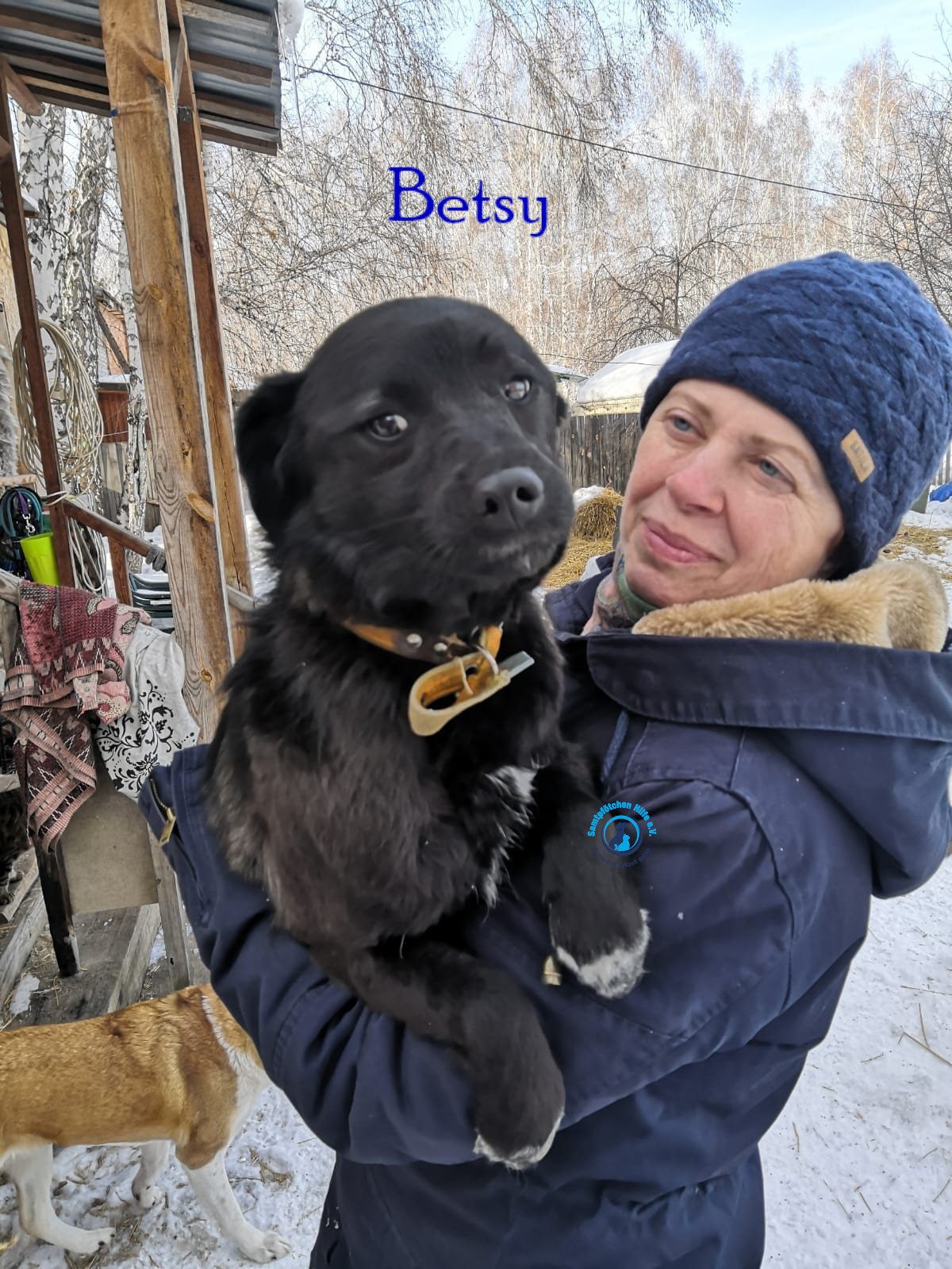 Lyudmila/Katzen/Betsy/Betsy13mN.jpg