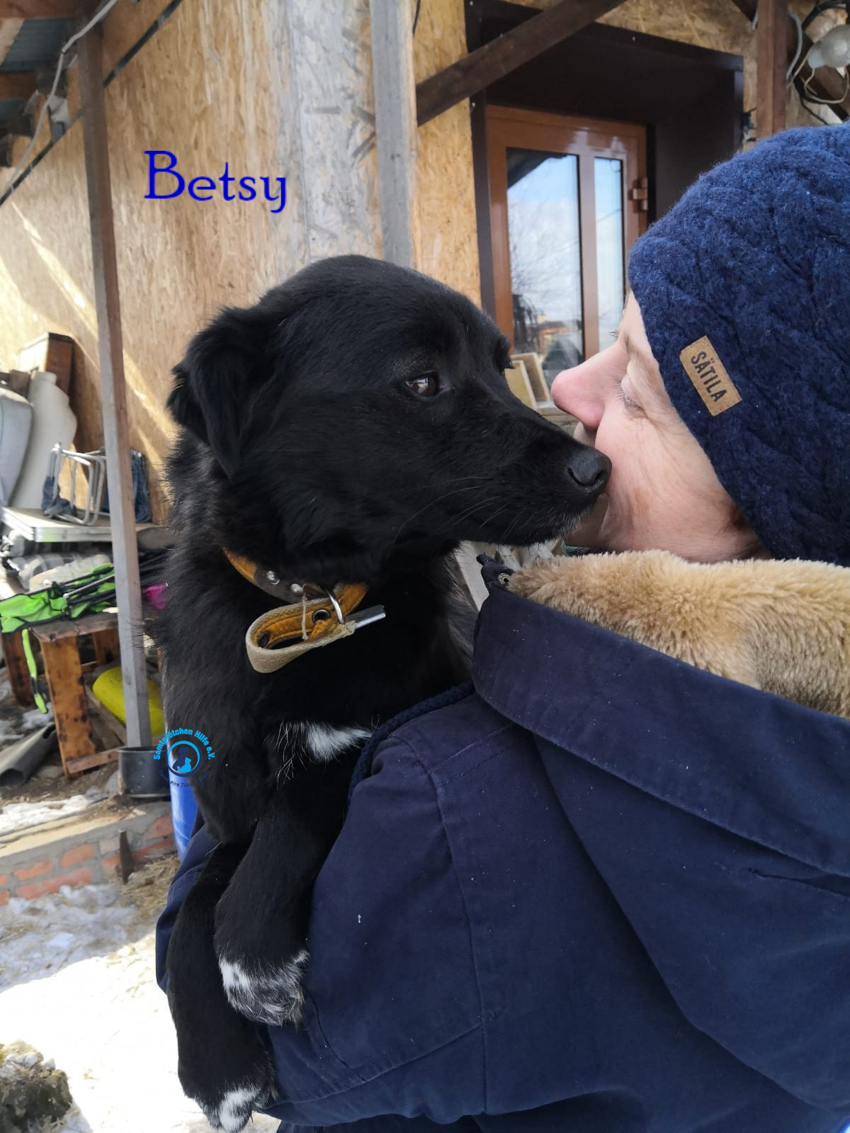 Lyudmila/Katzen/Betsy/Betsy14mN.jpg