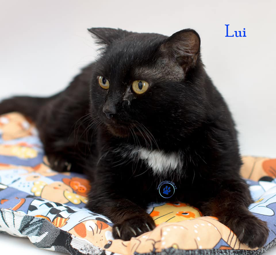 Lui Lui