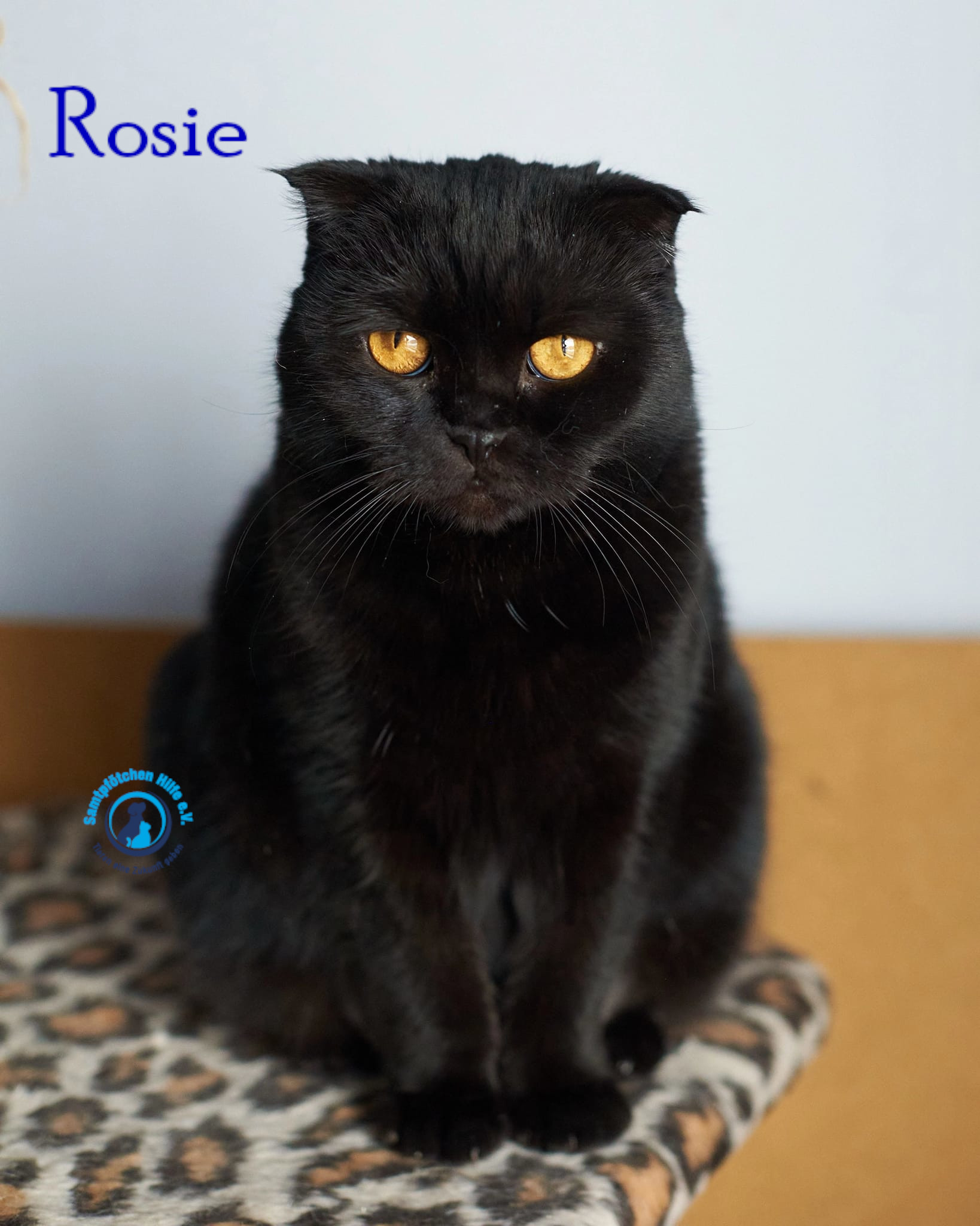Rosie