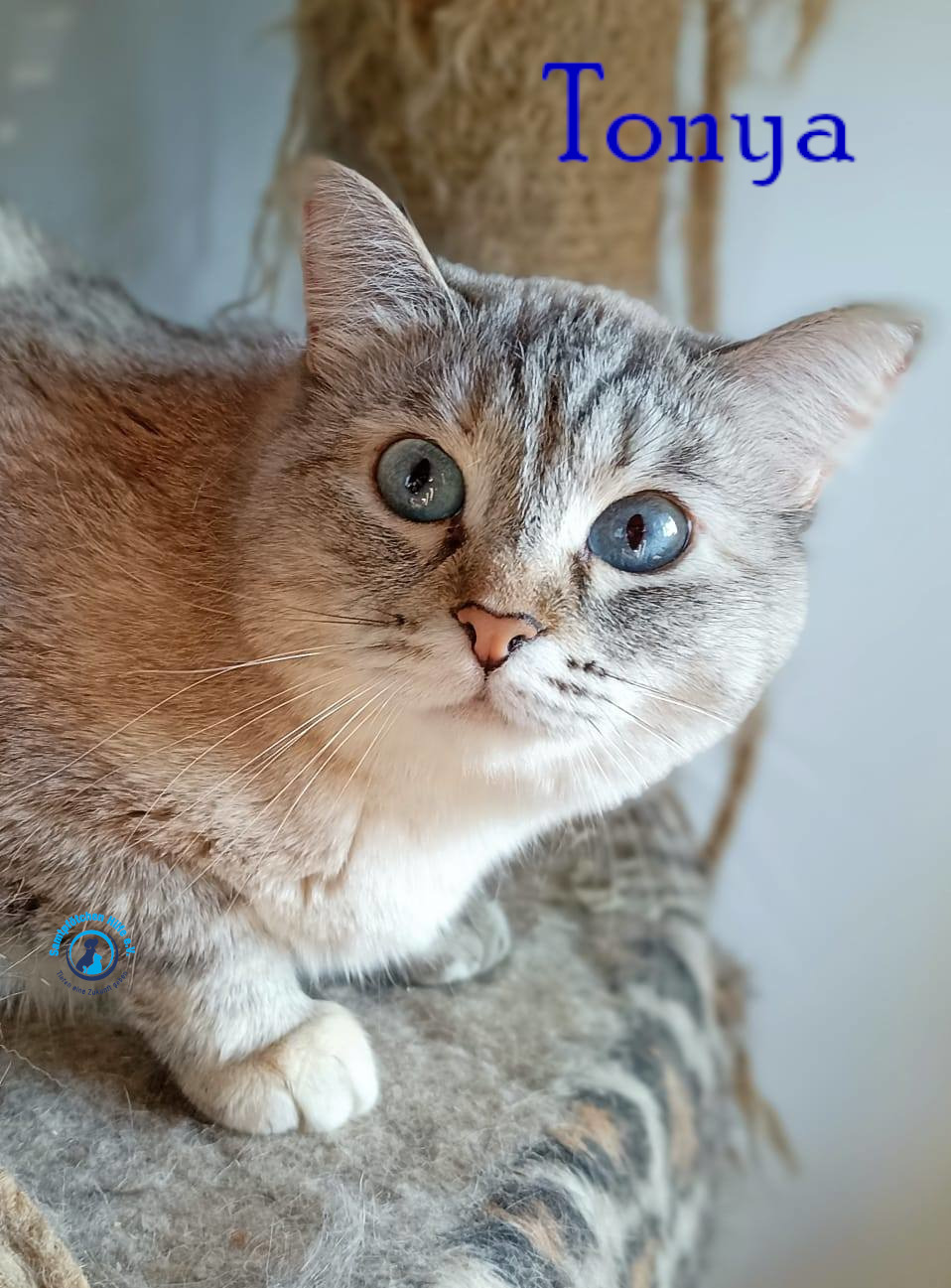 Tonya
