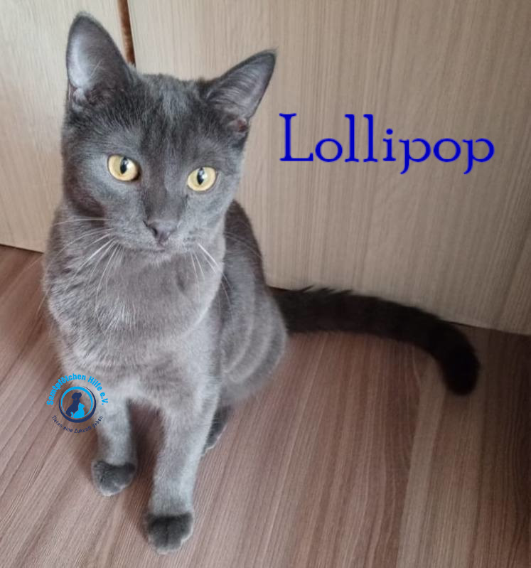Lollipop