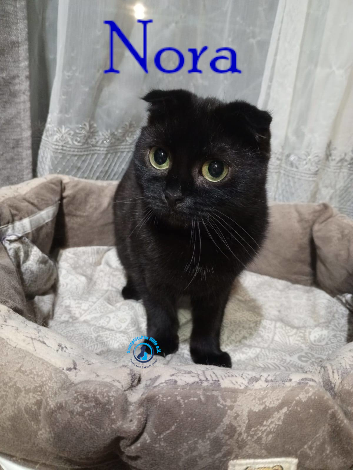 Nora