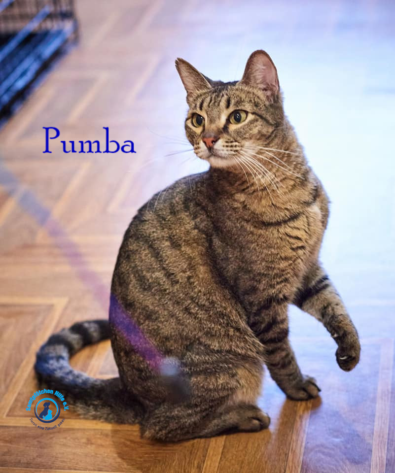 Pumba Pumba