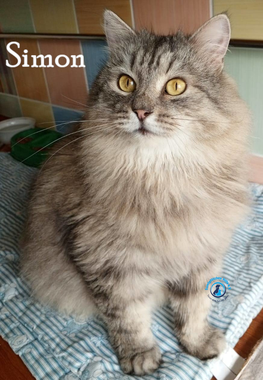 Simon