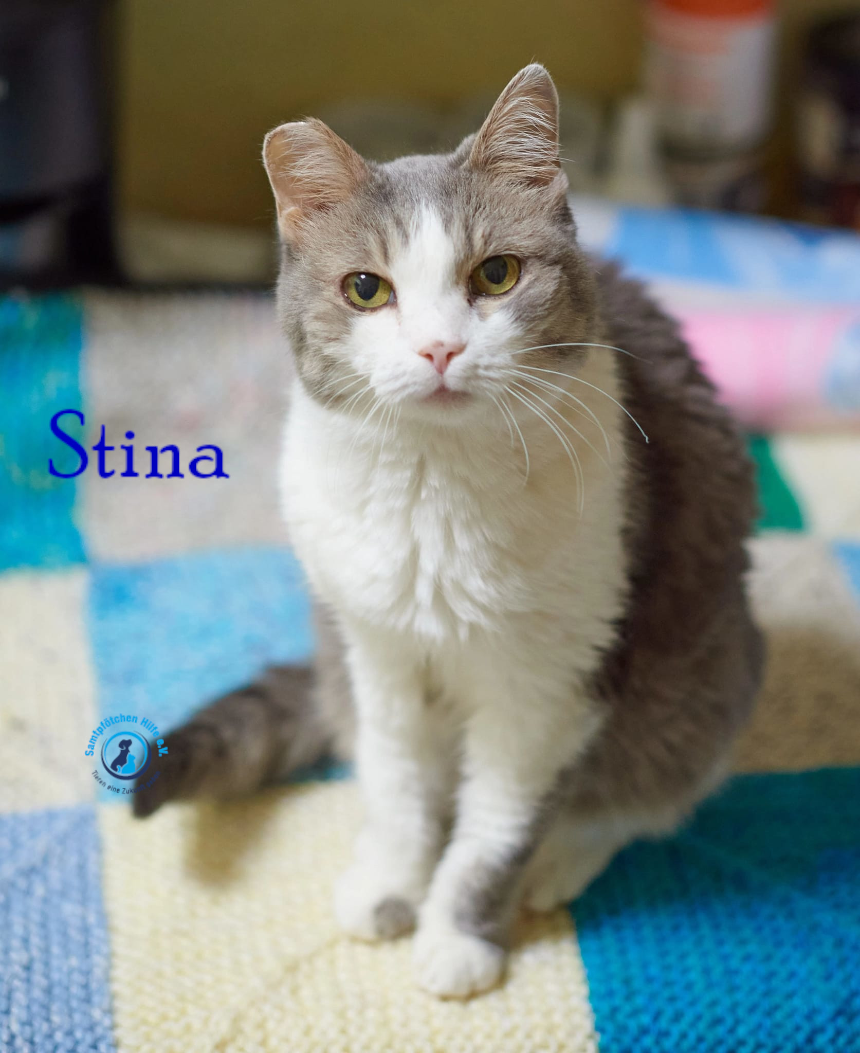 Stina Stina
