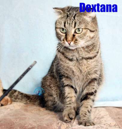 Dextana