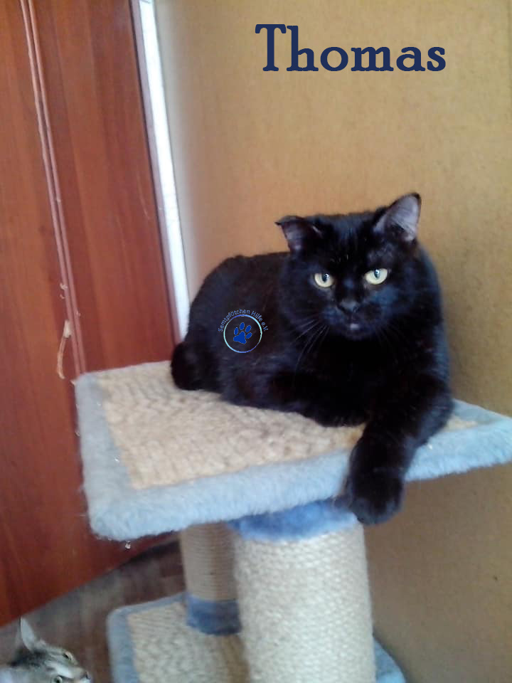 Thomas