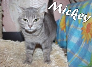 Mickey