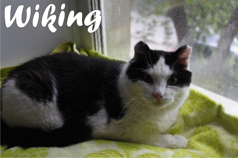 Wiking
