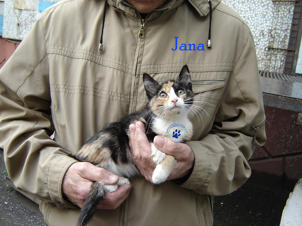 Jana
