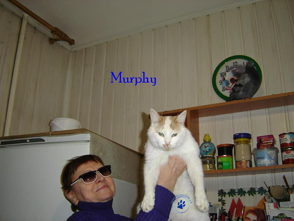 Soja/Katzen/Murphy/Murphy06mN.jpg